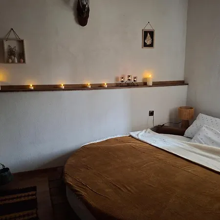 Ваканционна къща капсъзовата къща