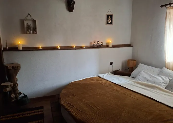 Tatil Evi капсъзовата къща