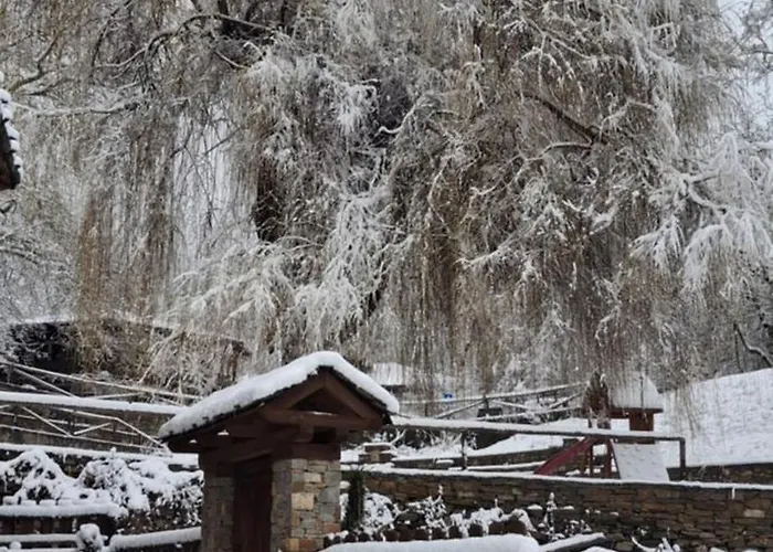 капсъзовата къща Tatil Evi